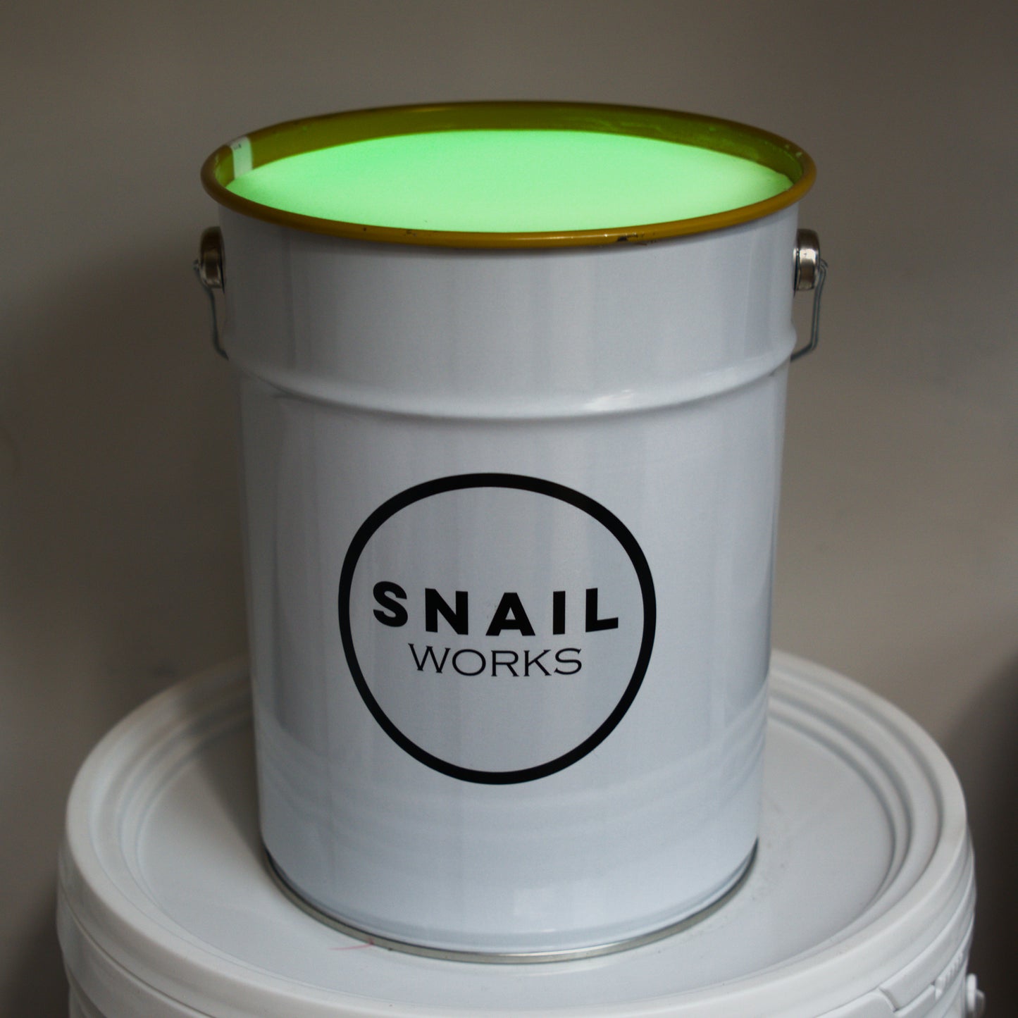 Ground Vegan Glow-worm Powder